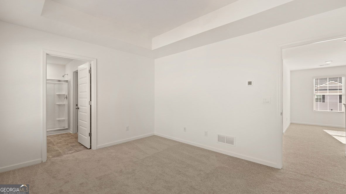 256 Lauritsen Way Newnan - 18