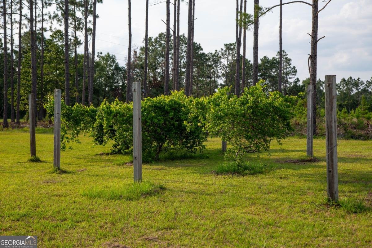 5407 Us Hwy 221 Uvalda - 35