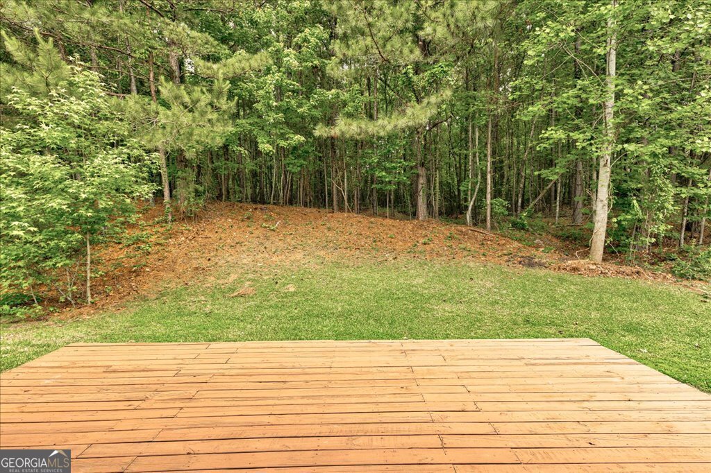 737 Shadow Lake Drive Lithonia - 34