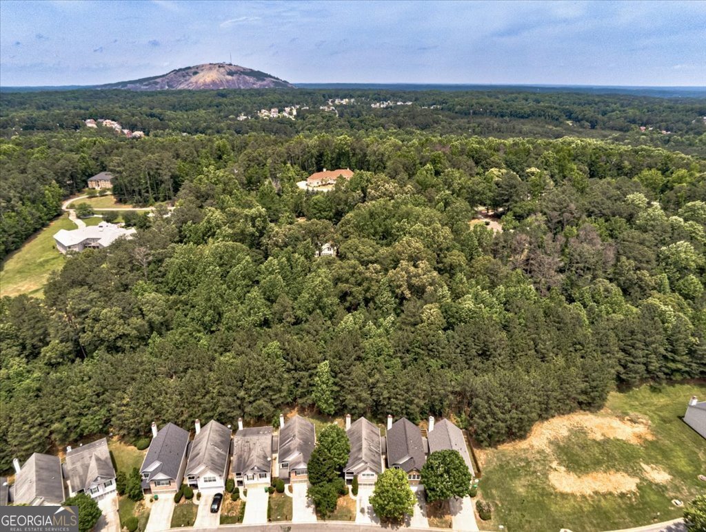 737 Shadow Lake Drive Lithonia - 47