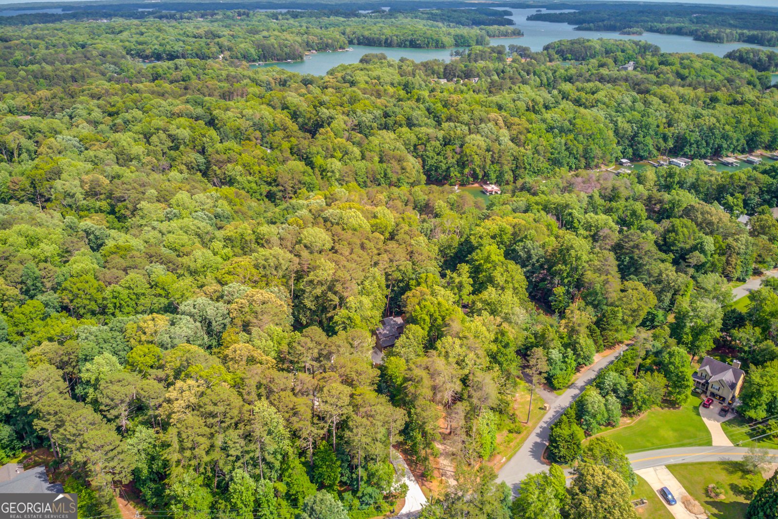5345 5345 PILGRIM POINT Road Cumming - 3