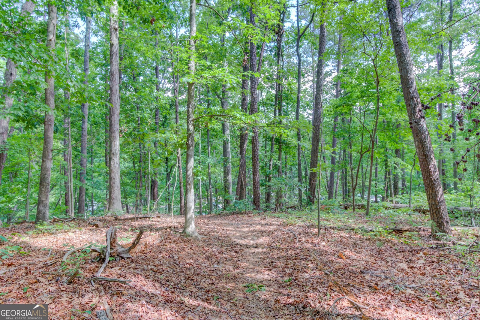 5345 5345 PILGRIM POINT Road Cumming - 48