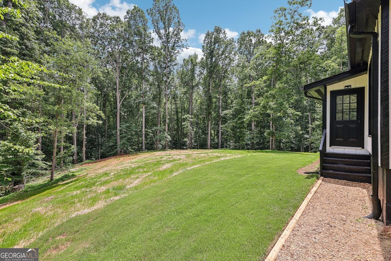 2725 GLENDALE Drive Conyers - 56