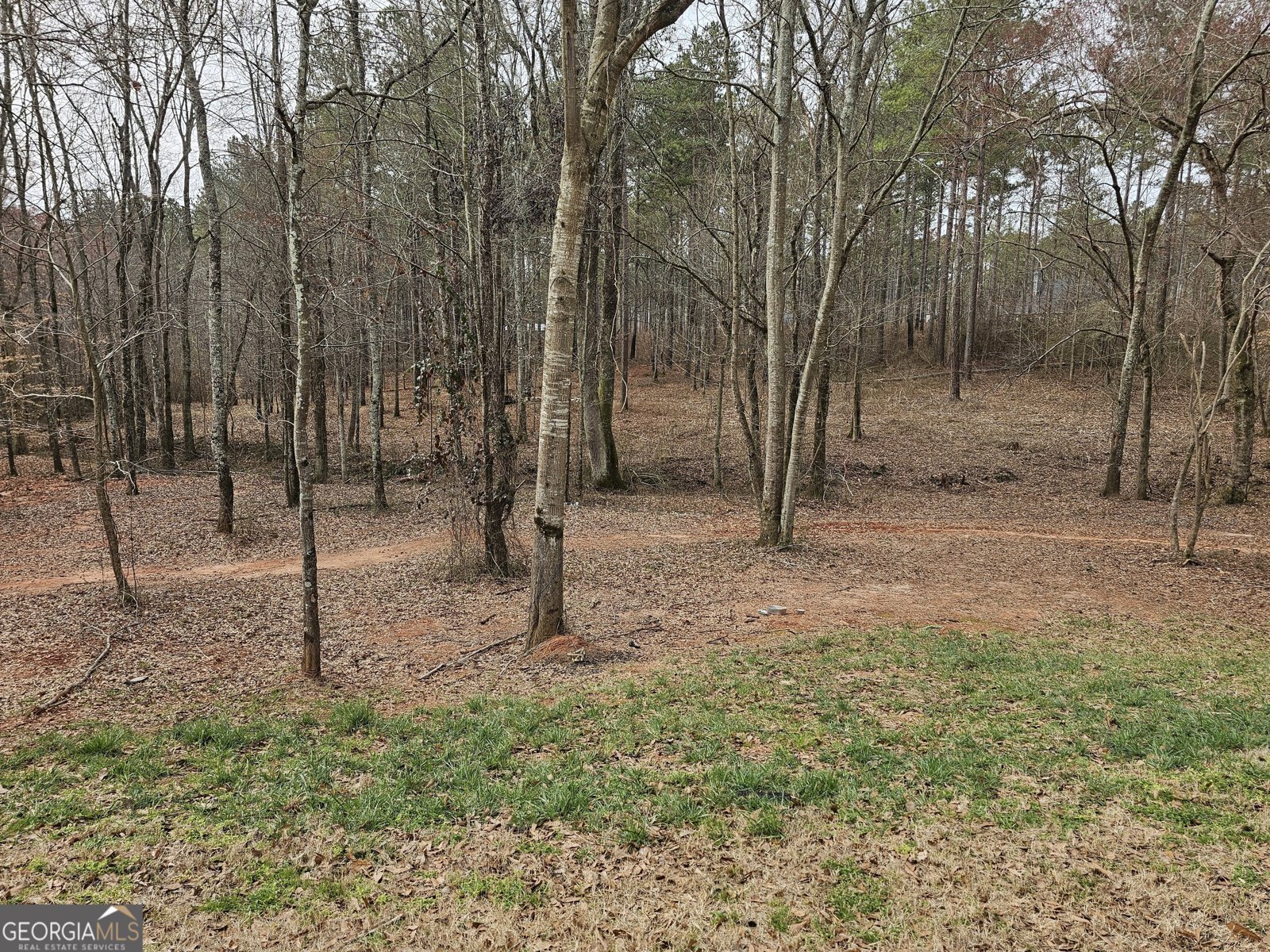 1698 5 Highway Carrollton - 40
