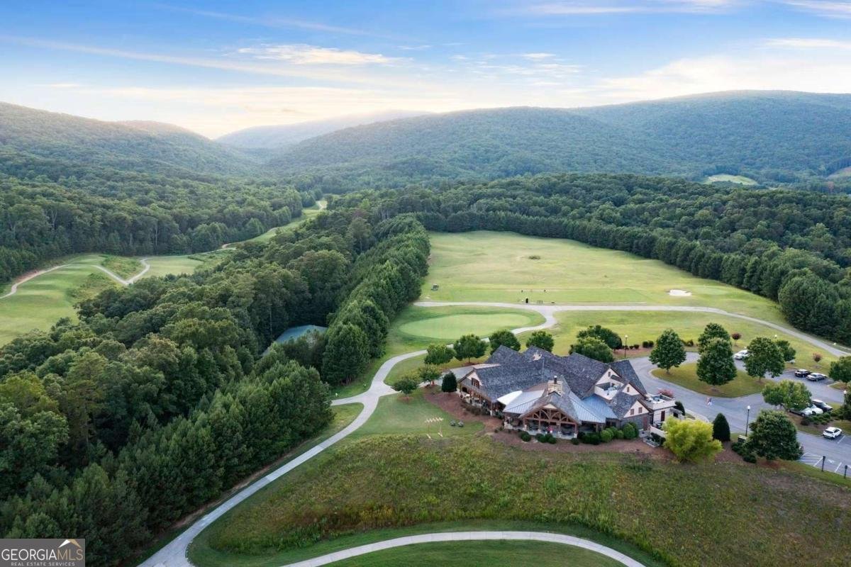 182 White Eagle Drive Waleska - 61