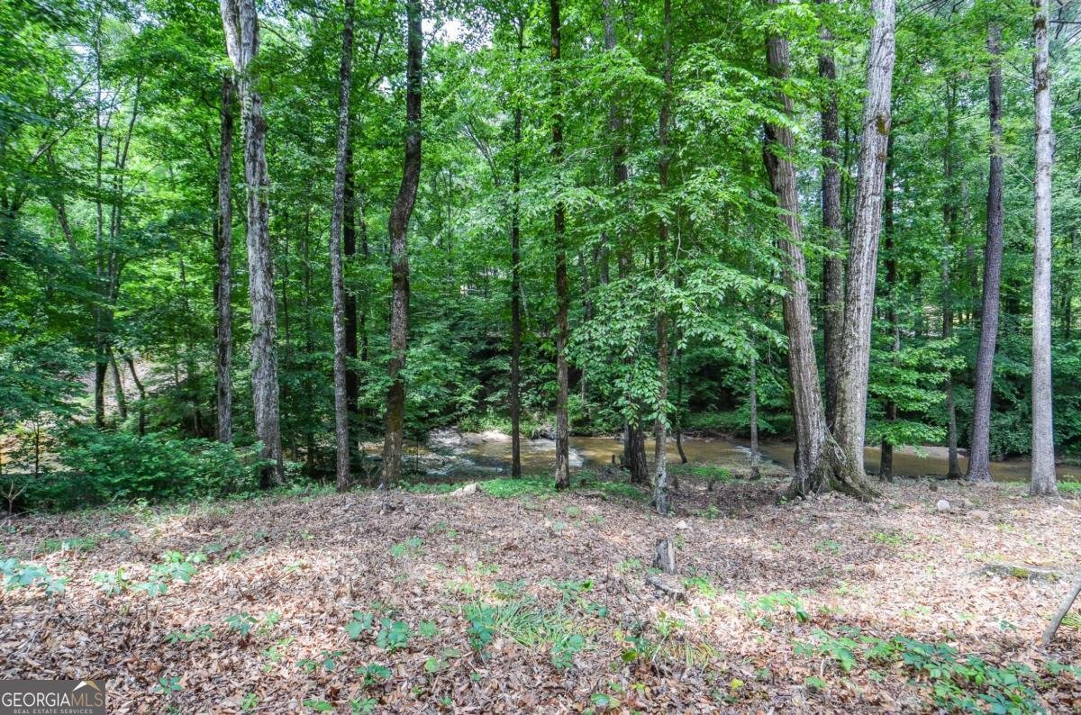 1216 Oleander Drive Lilburn - 59