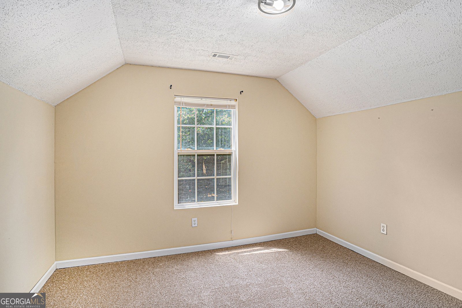 235 Cecil Jackson Road Griffin - 7