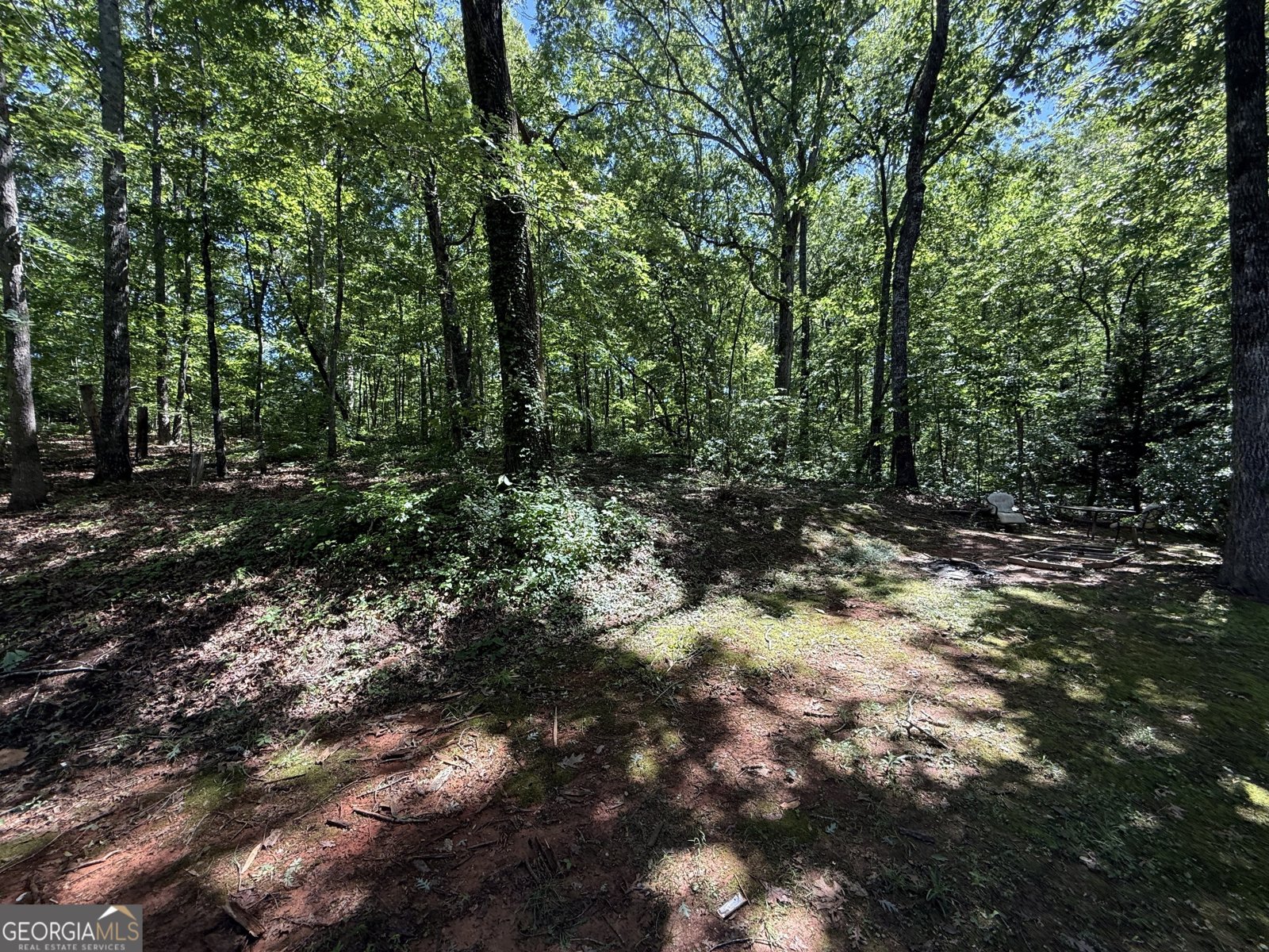 261 Sally Duke Drive Whitesburg - 7