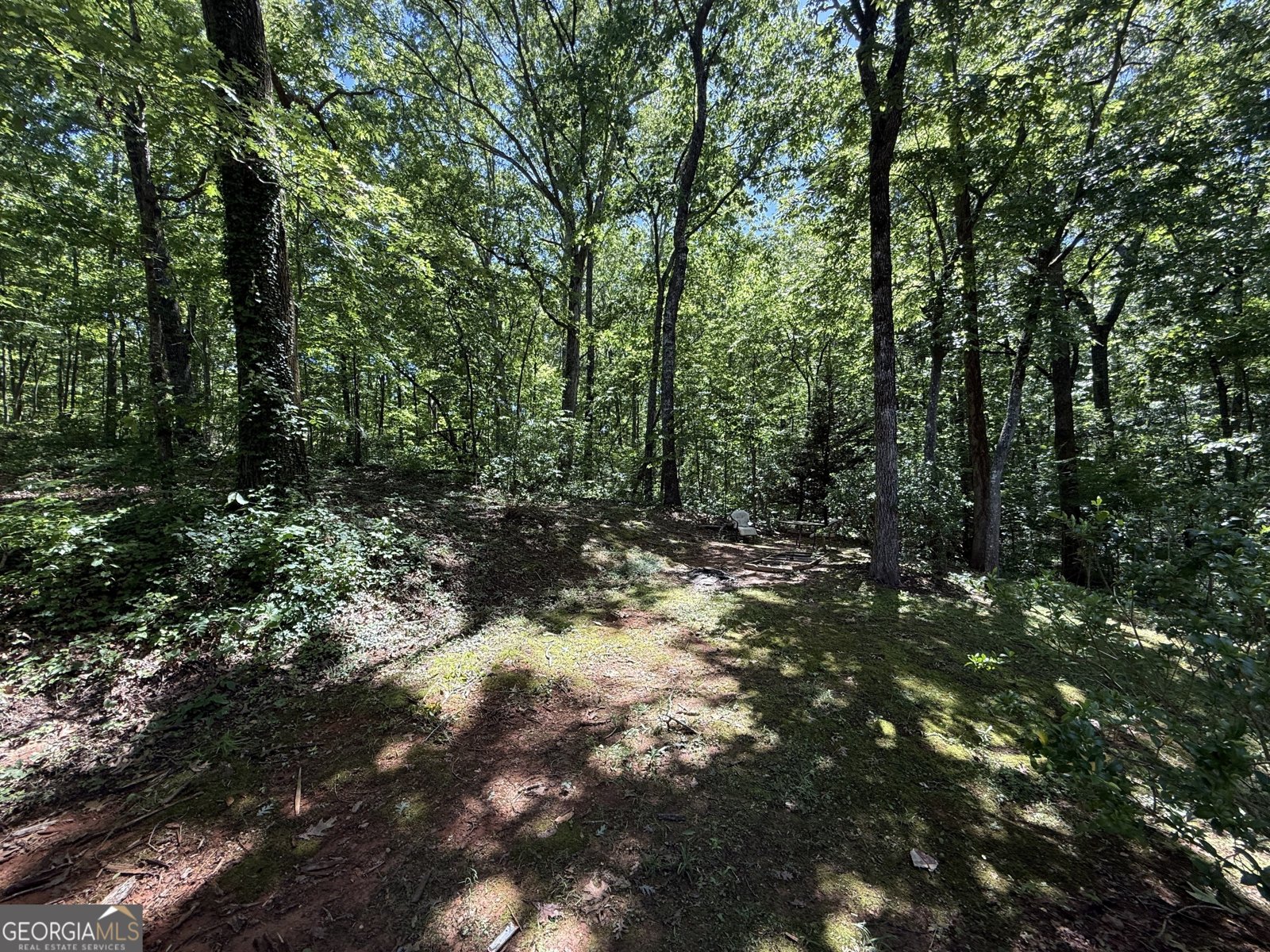 261 Sally Duke Drive Whitesburg - 8