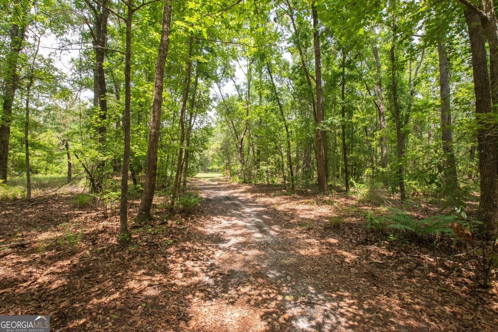 2165 Owens Ferry Road White Oak - 60