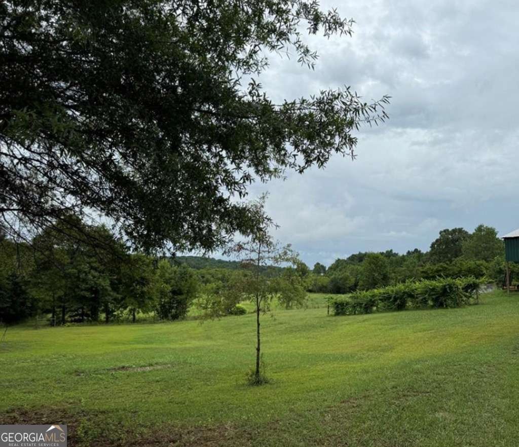 526 Spring Place Road White - 29