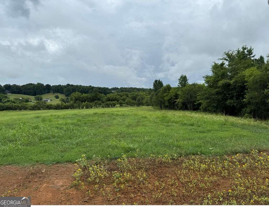 526 Spring Place Road White - 30
