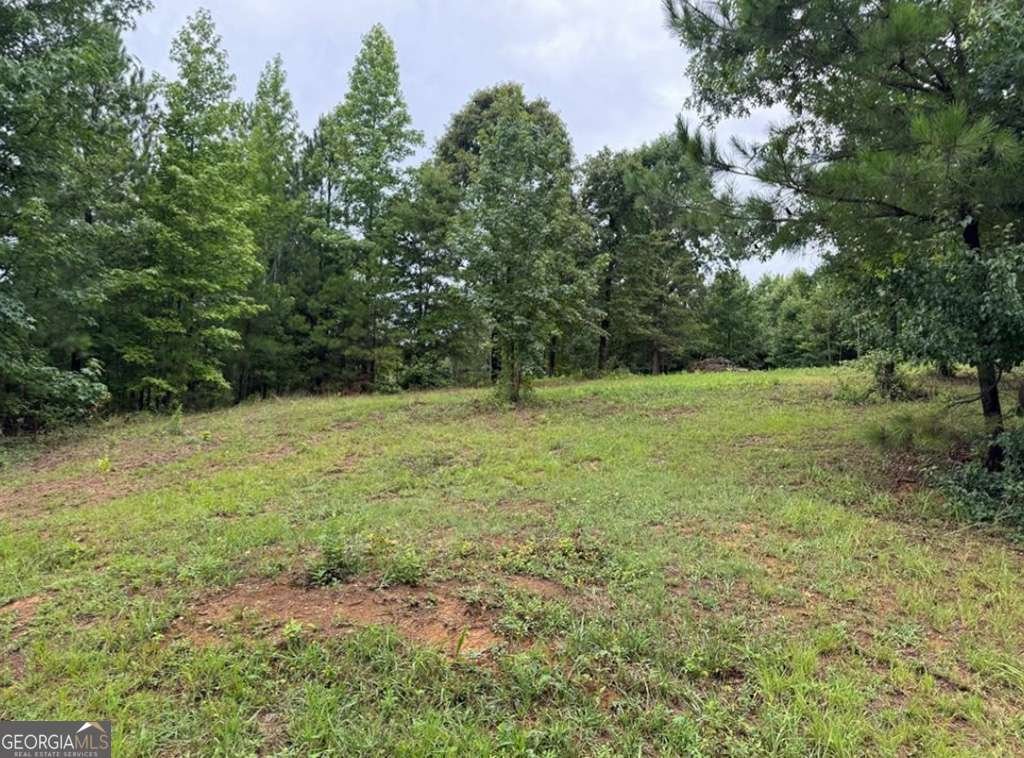 526 Spring Place Road White - 35