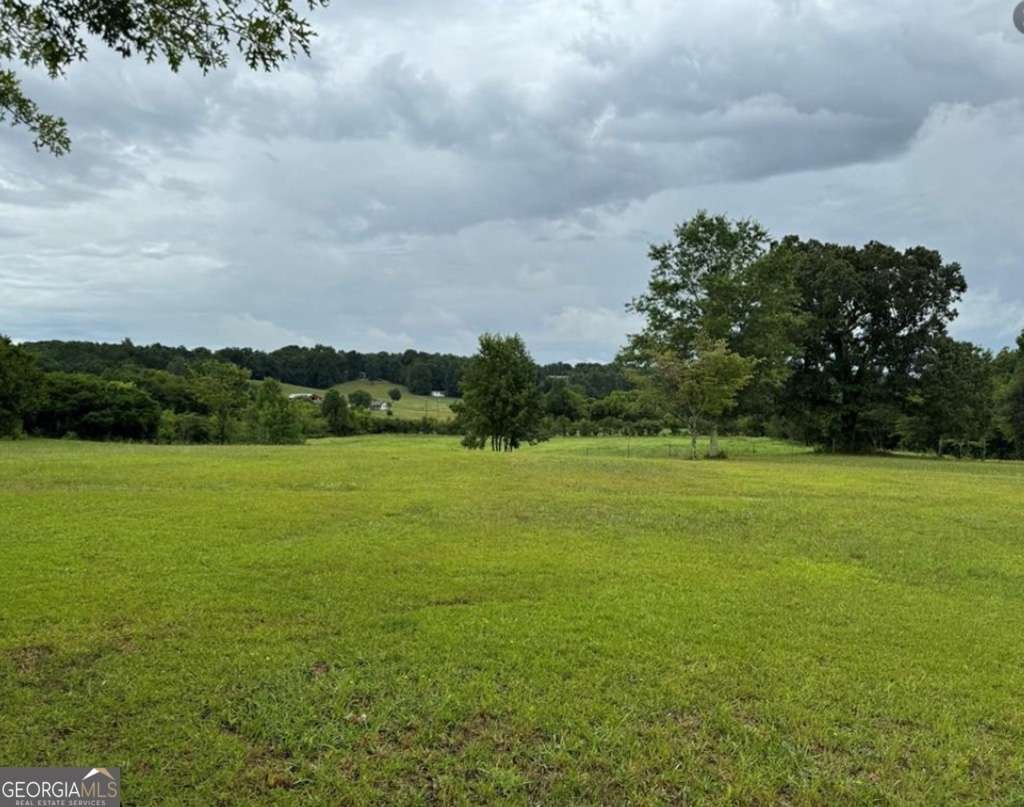 526 Spring Place Road White - 5