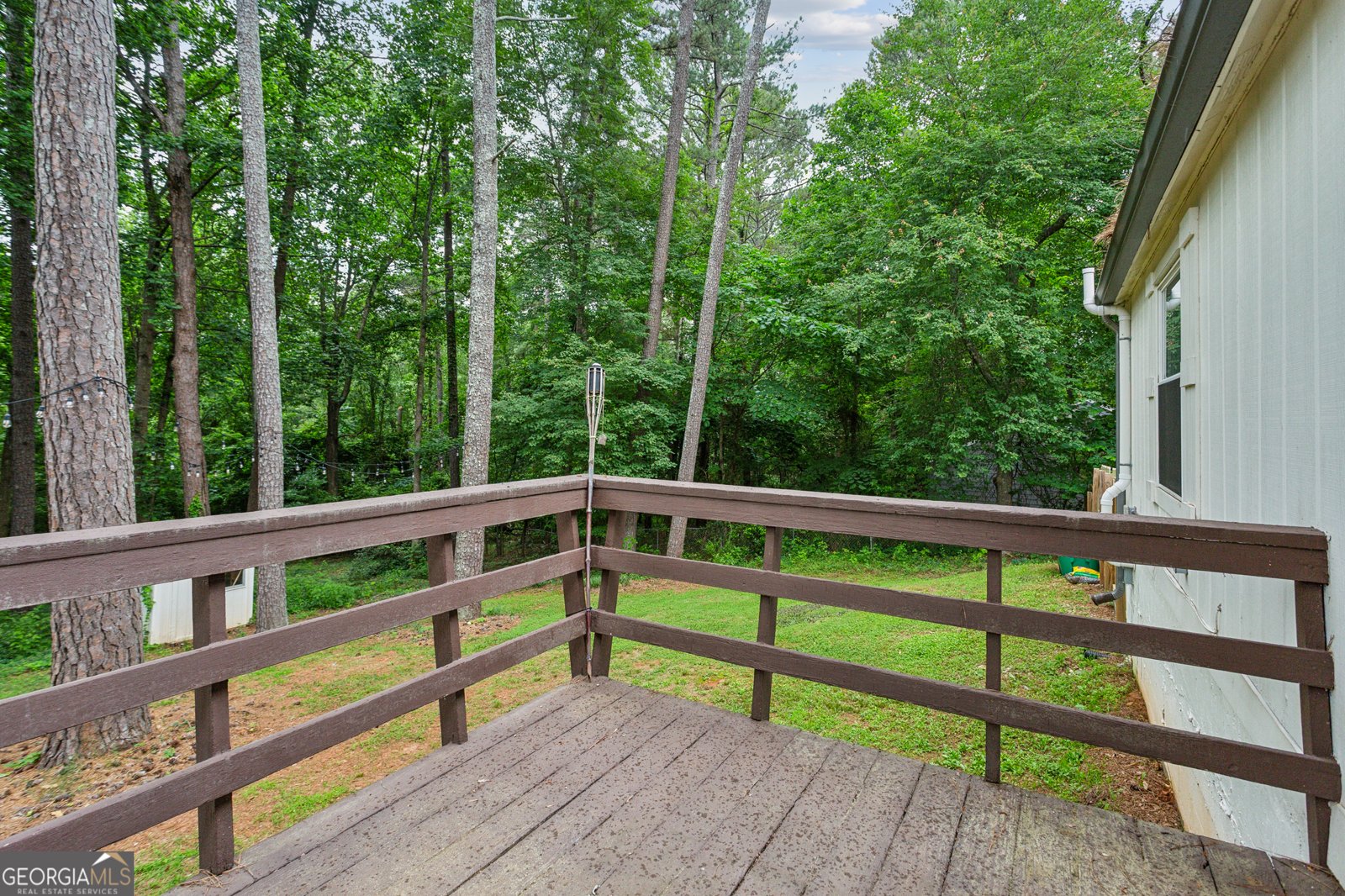 232 Apple Branch Drive Woodstock - 31