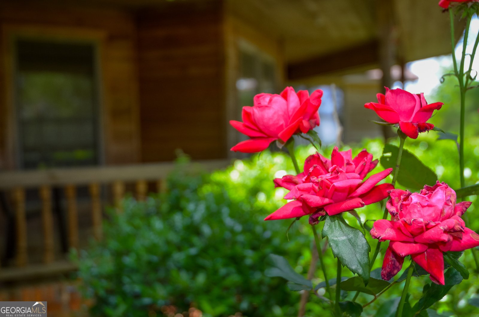 3947 Americus Highway Dawson - 16