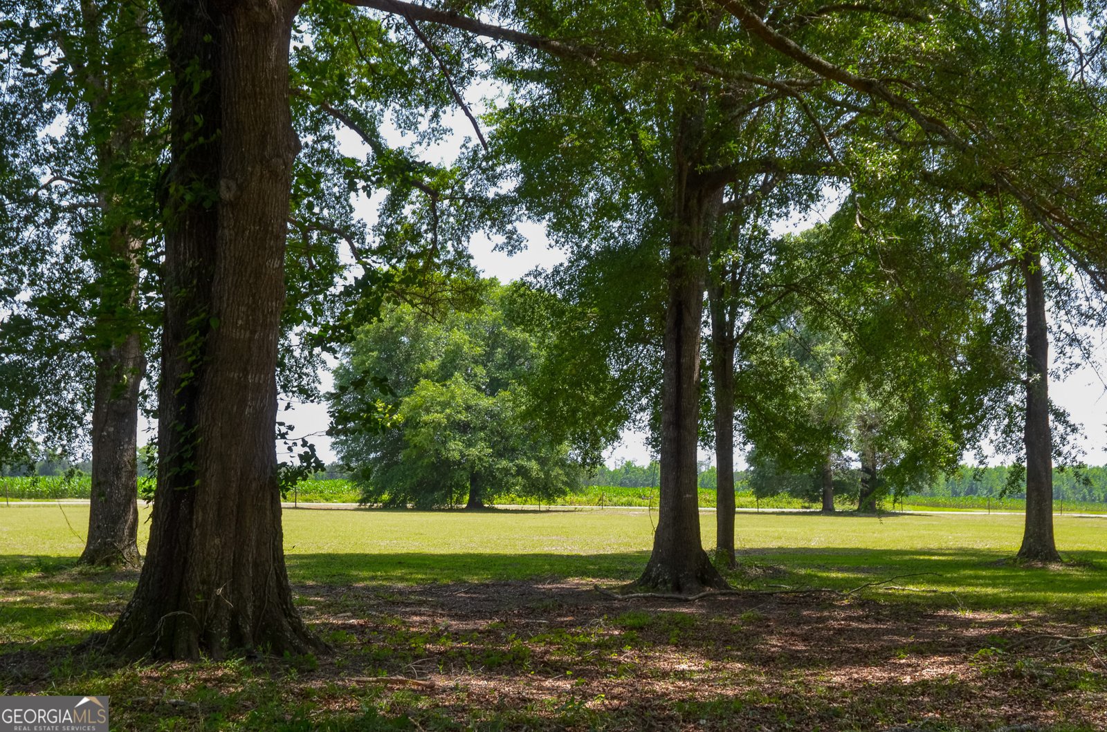 3947 Americus Highway Dawson - 18