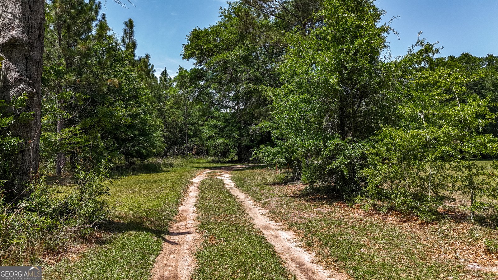 3947 Americus Highway Dawson - 21