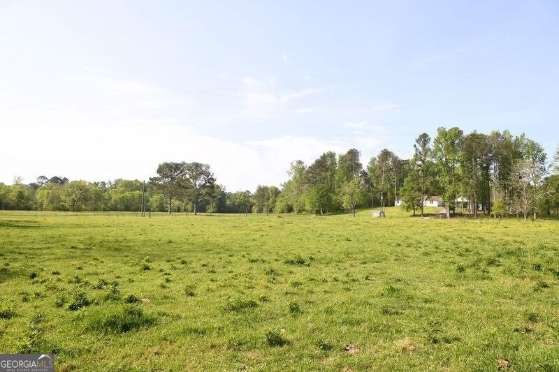 446 Brown Bridge Road Chatsworth - 3