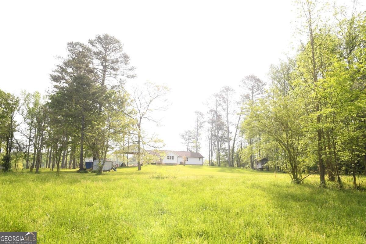 446 Brown Bridge Road Chatsworth - 42