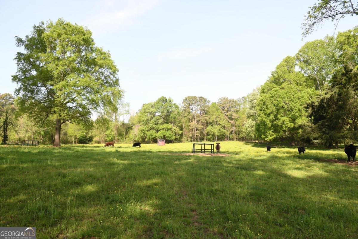 446 Brown Bridge Road Chatsworth - 49