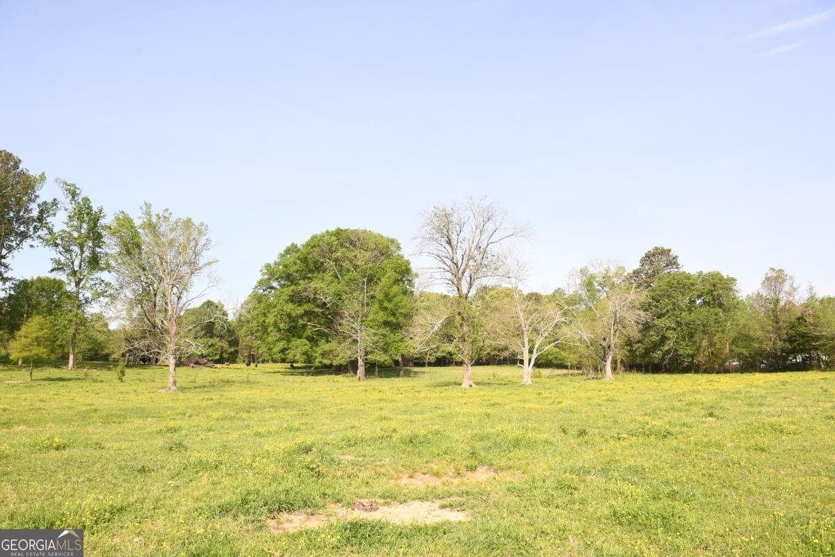 446 Brown Bridge Road Chatsworth - 50