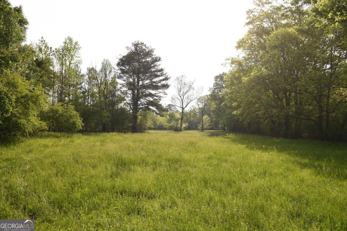 446 Brown Bridge Road Chatsworth - 51