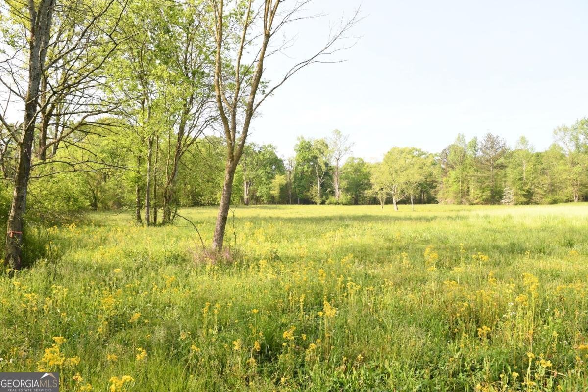 446 Brown Bridge Road Chatsworth - 53