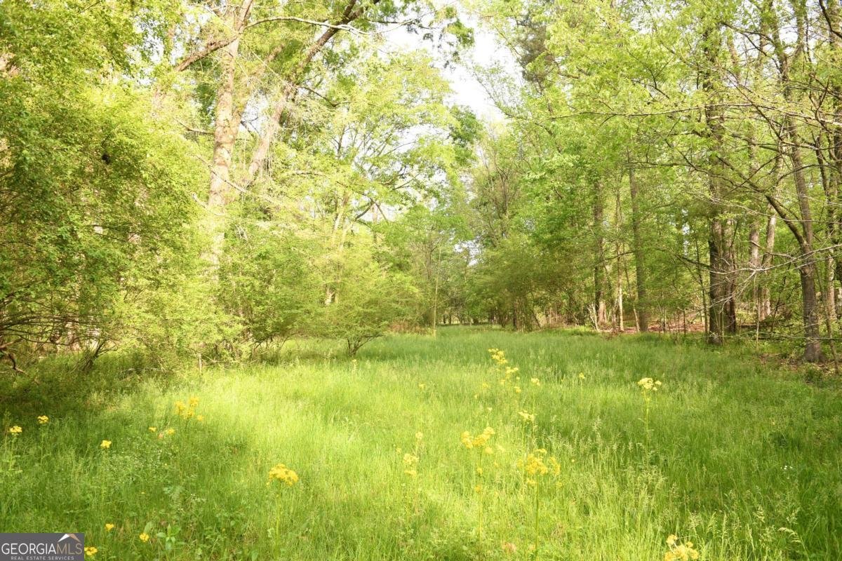 446 Brown Bridge Road Chatsworth - 54