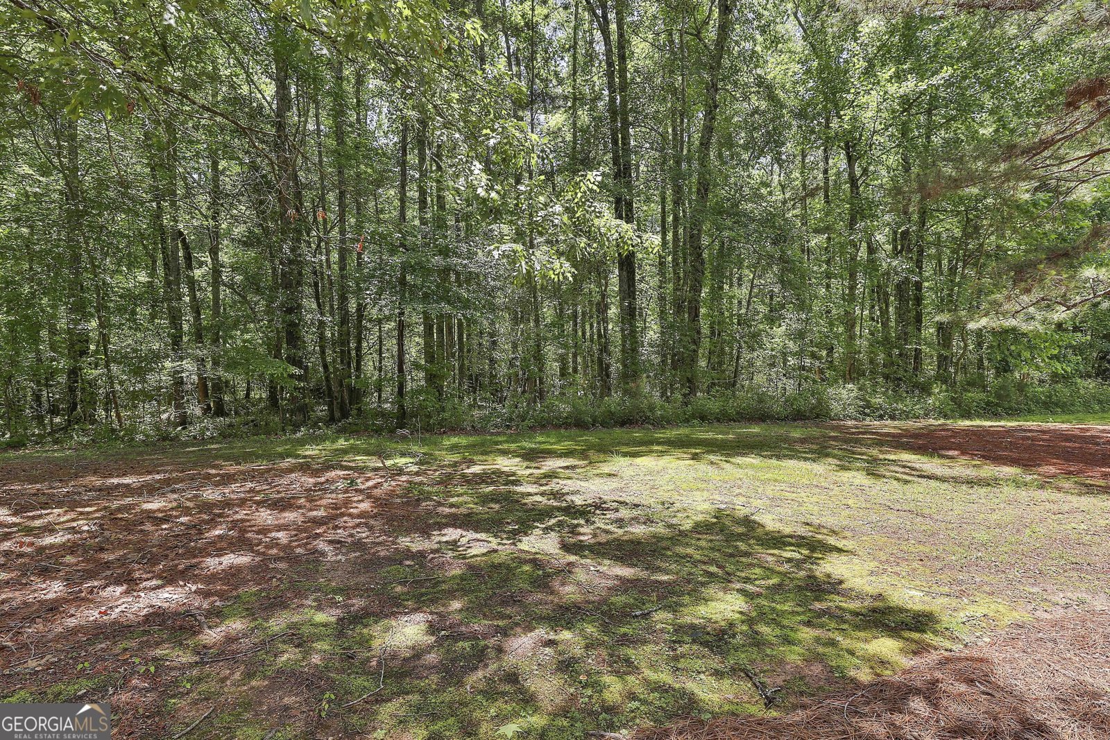 508 Las Brasis Court Peachtree City - 38