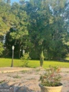 2165 Satilla Church Road Baxley - 29
