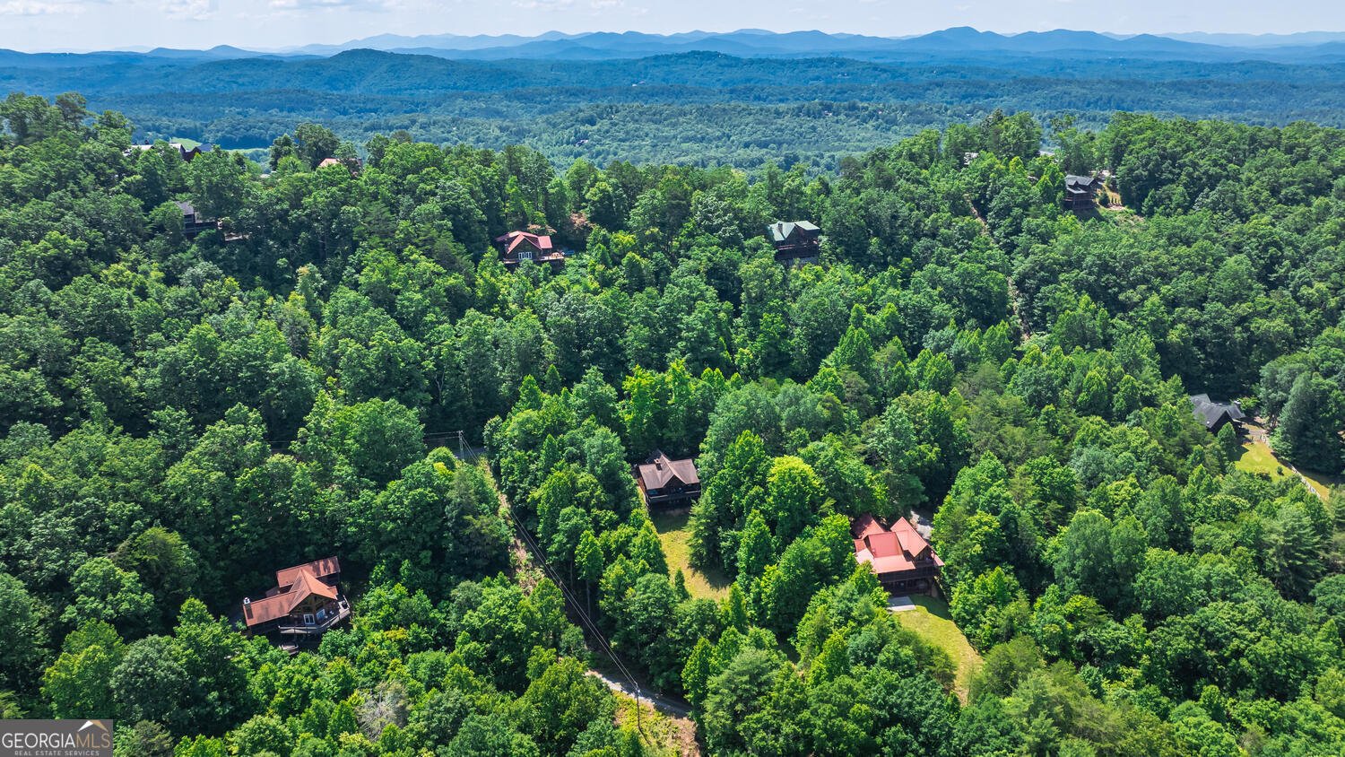 437 Spruce Circle Mineral Bluff - 60