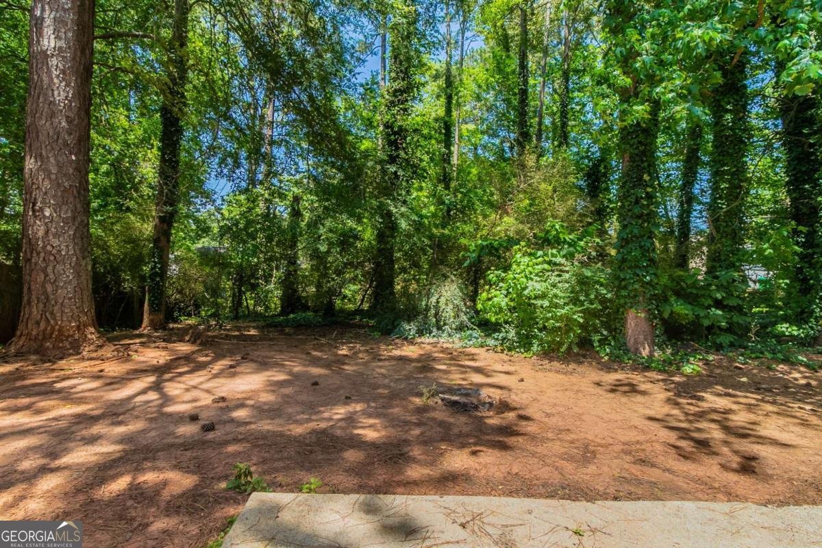 3470 River Mill Lane Ellenwood - 36