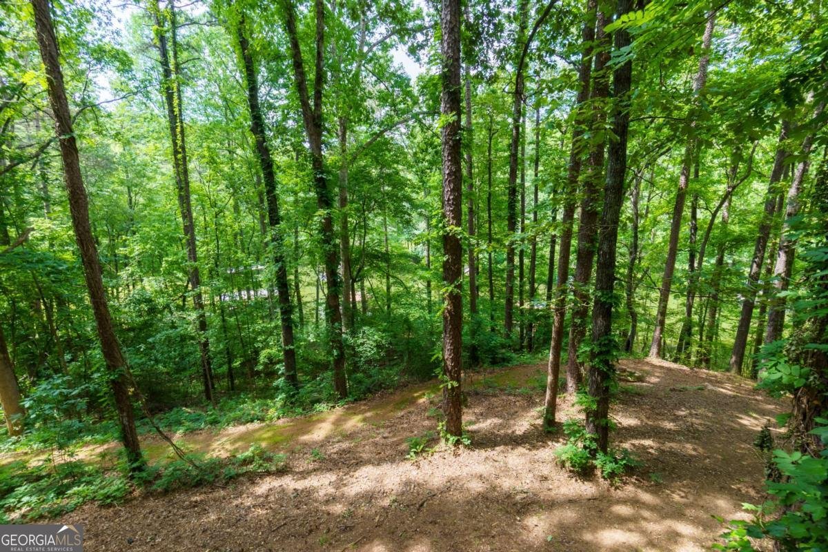 3835 Clubhouse Circle Gainesville - 51