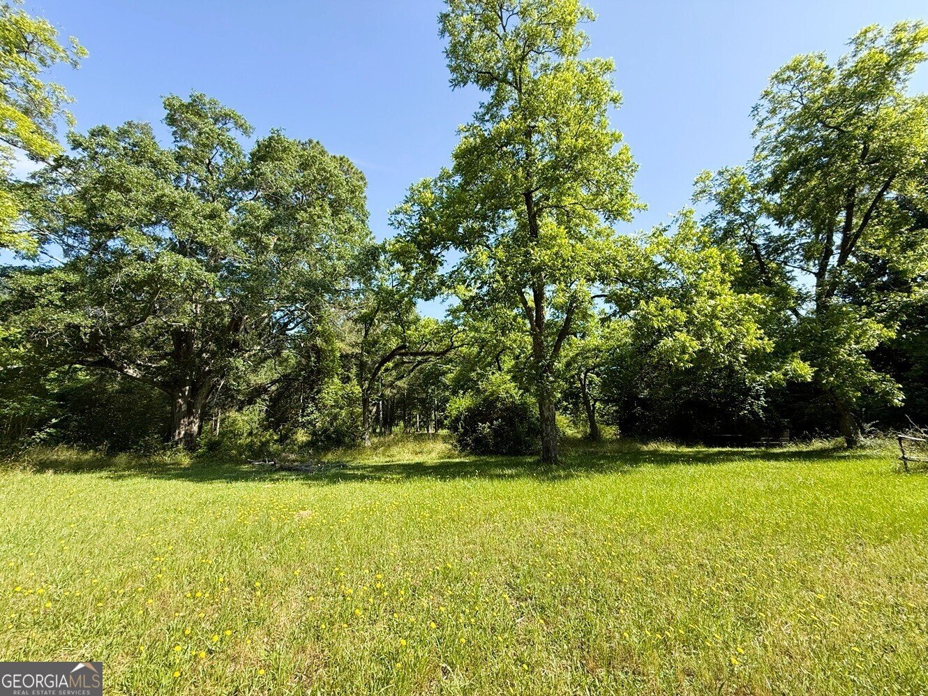 914 Ext Elbert Street Elberton - 14