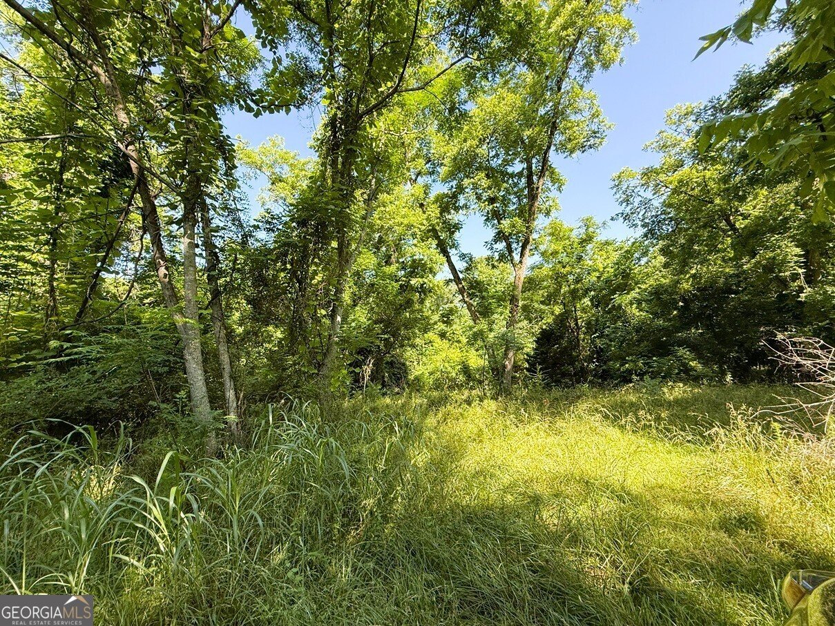 914 Ext Elbert Street Elberton - 24