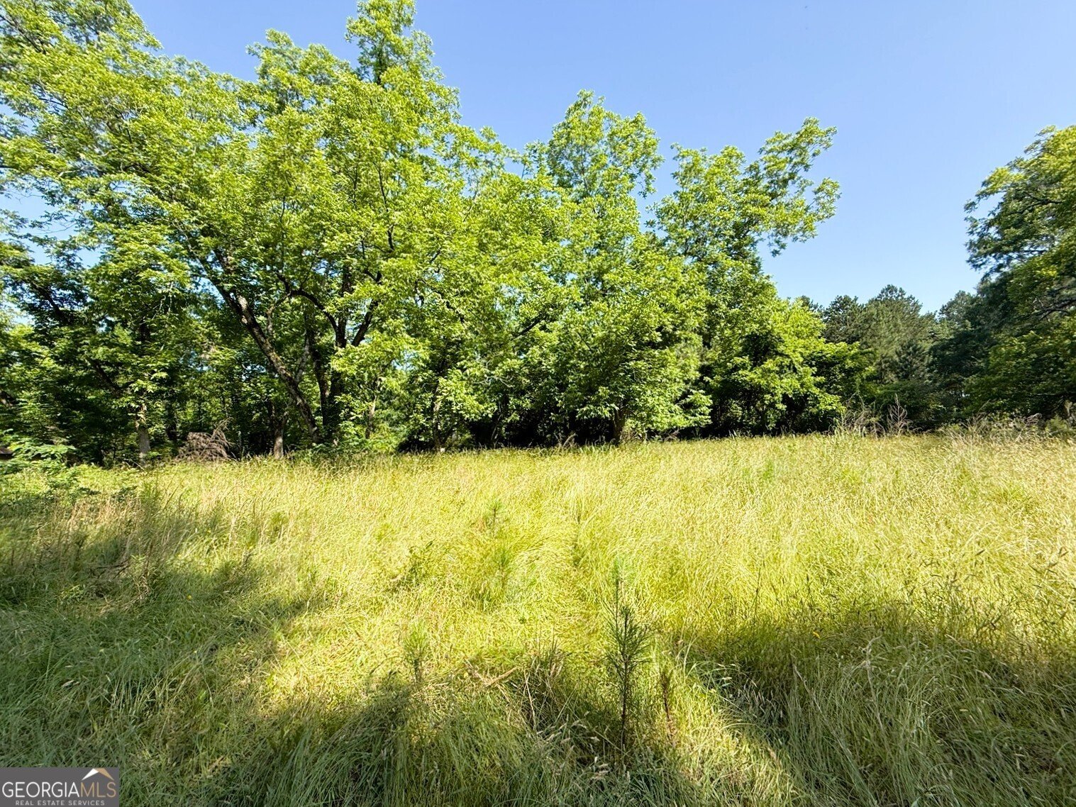 914 Ext Elbert Street Elberton - 25