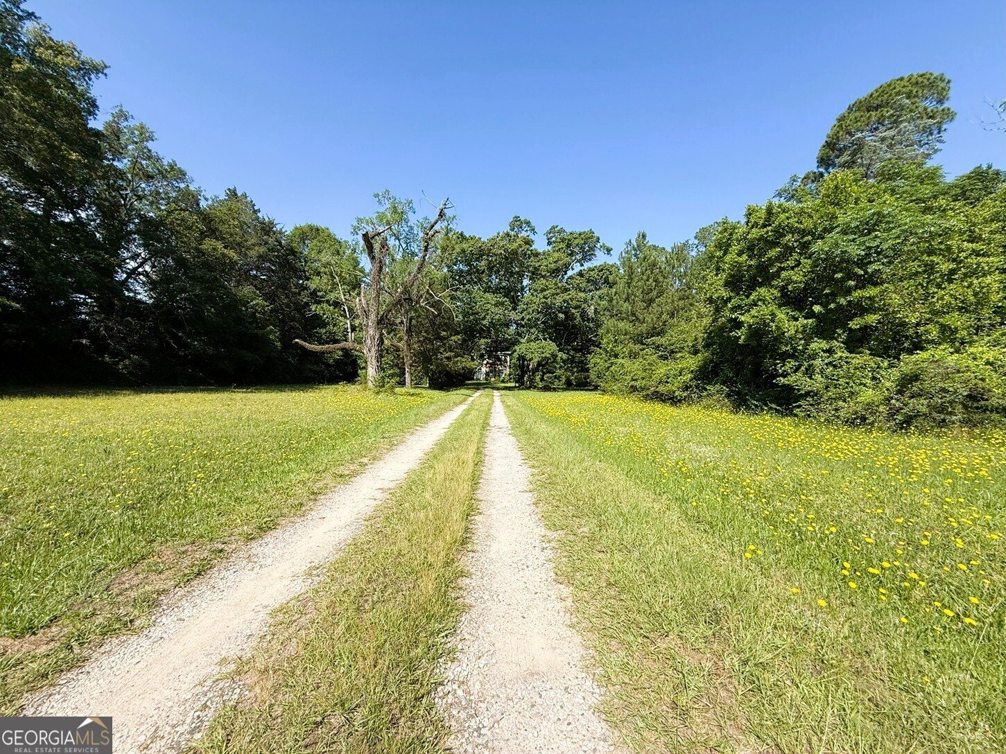 914 Ext Elbert Street Elberton - 9
