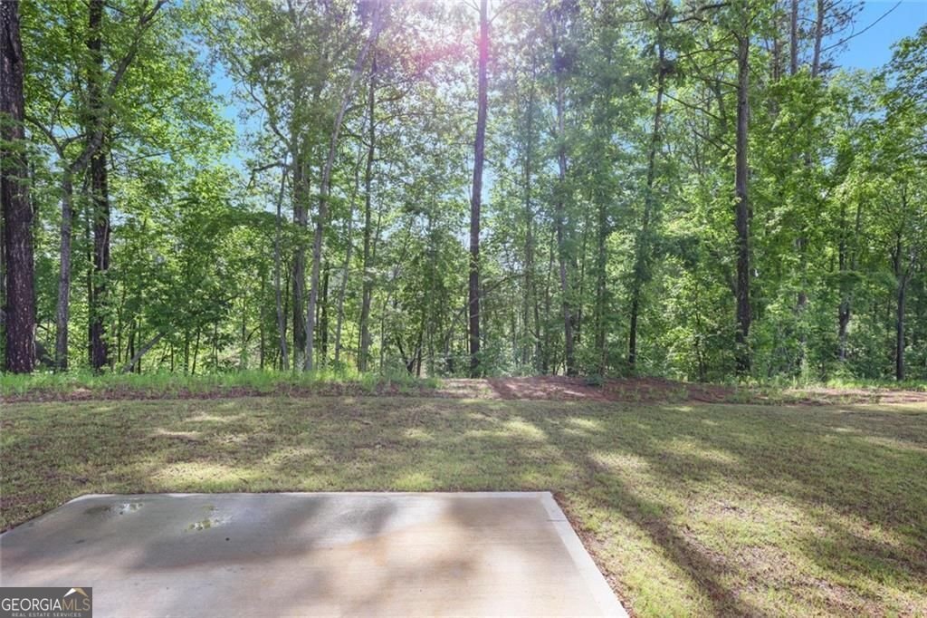 115 Haven Brook Way Douglasville - 20