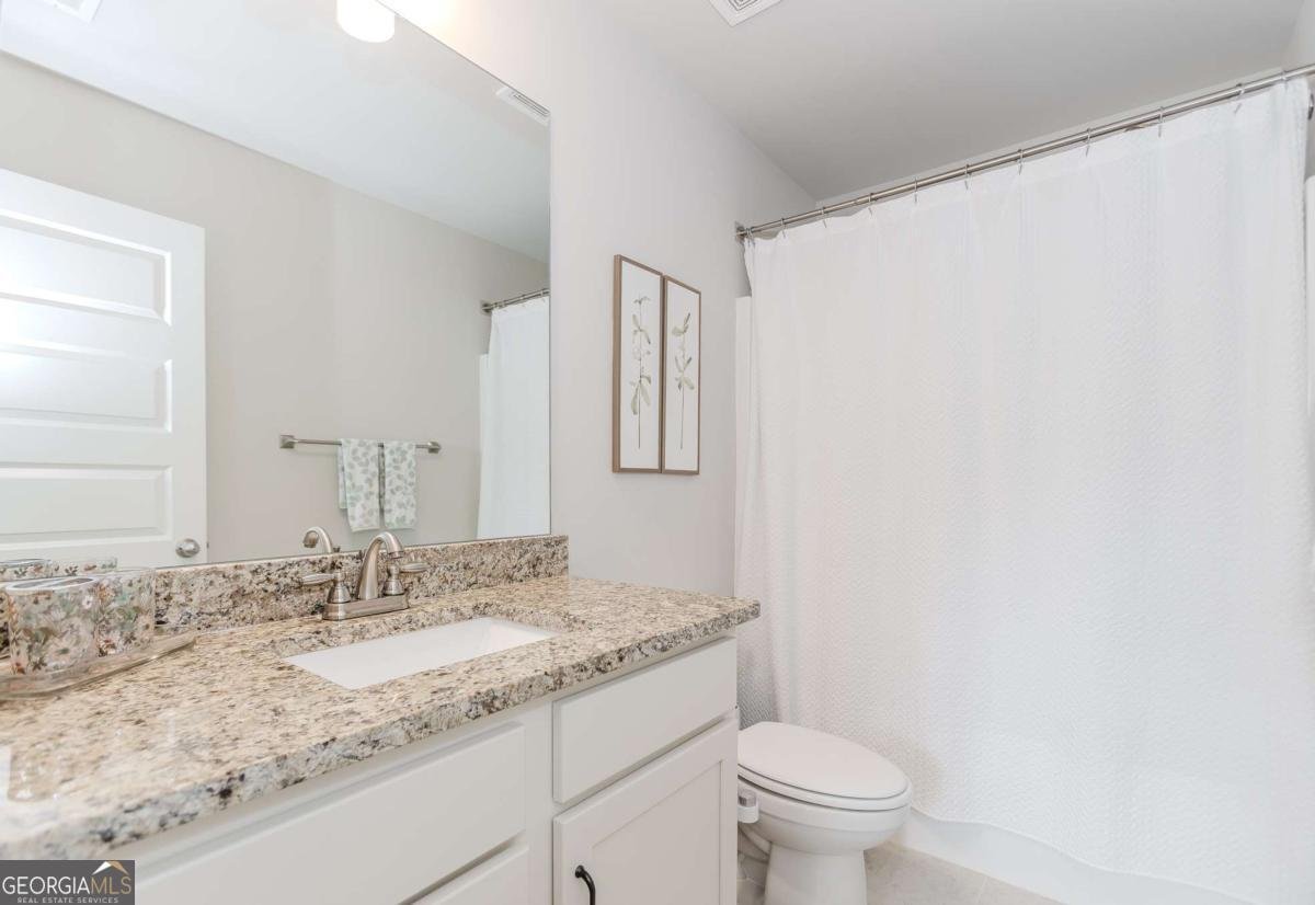 431 Hinton Farm Way Dacula - 16