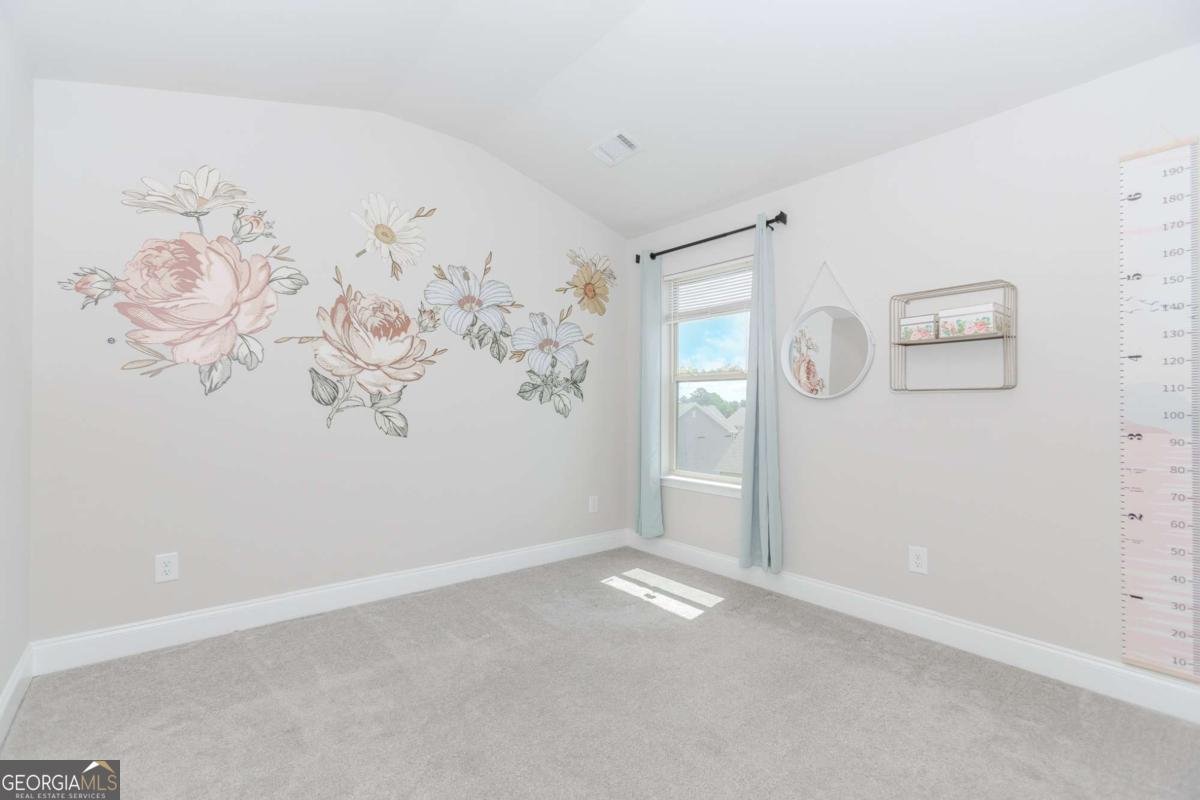 431 Hinton Farm Way Dacula - 18