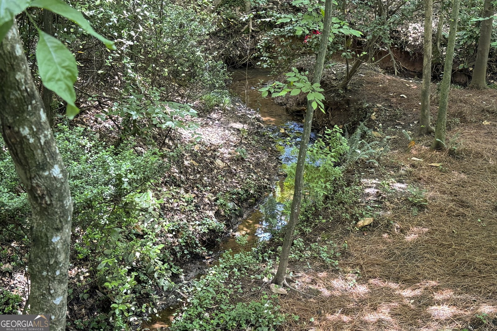 1560 Bubbling Creek Road Atlanta - 57