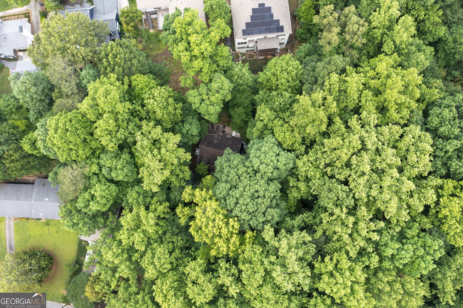 1560 Bubbling Creek Road Atlanta - 58