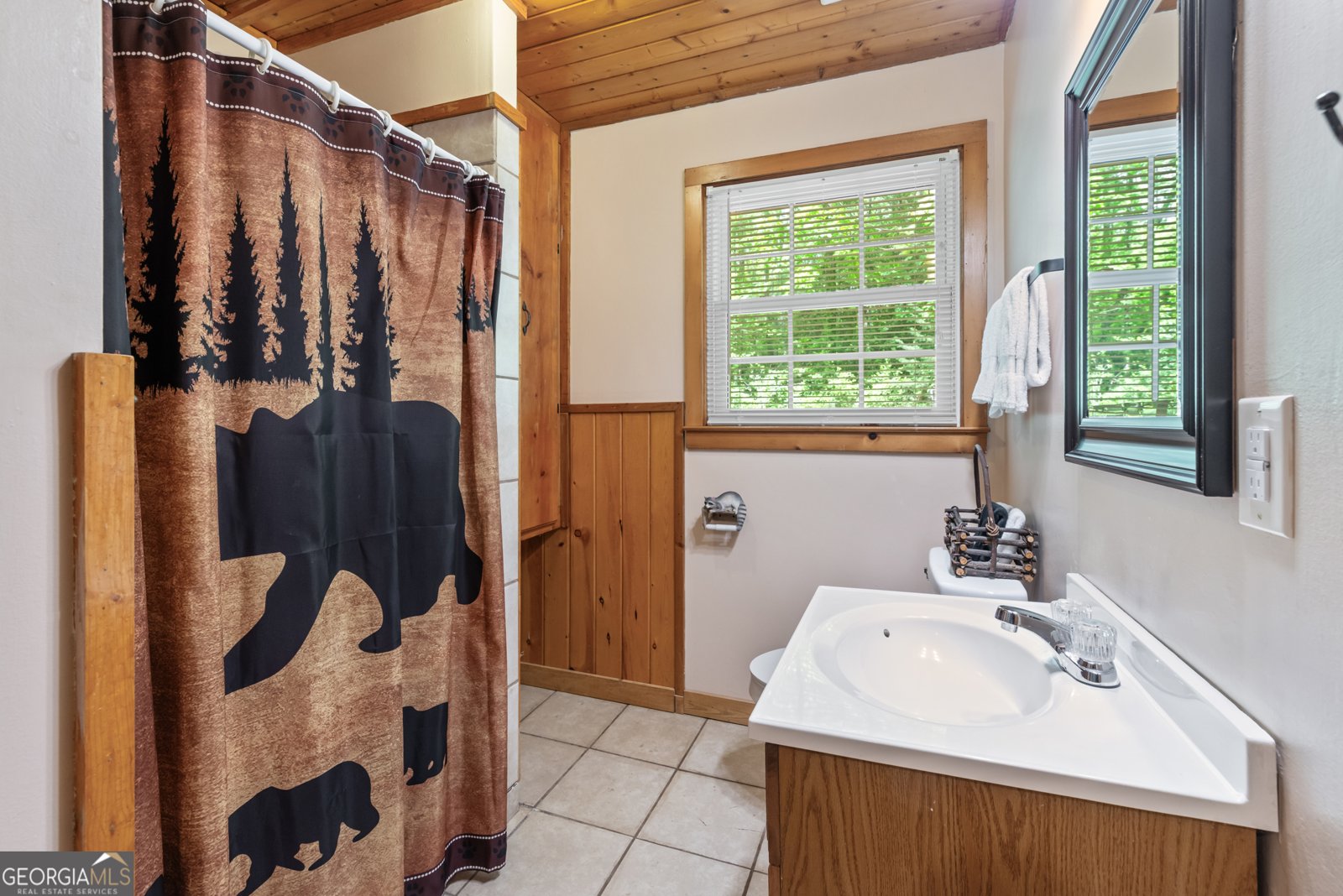 3035 Highway 17 Sautee Nacoochee - 28