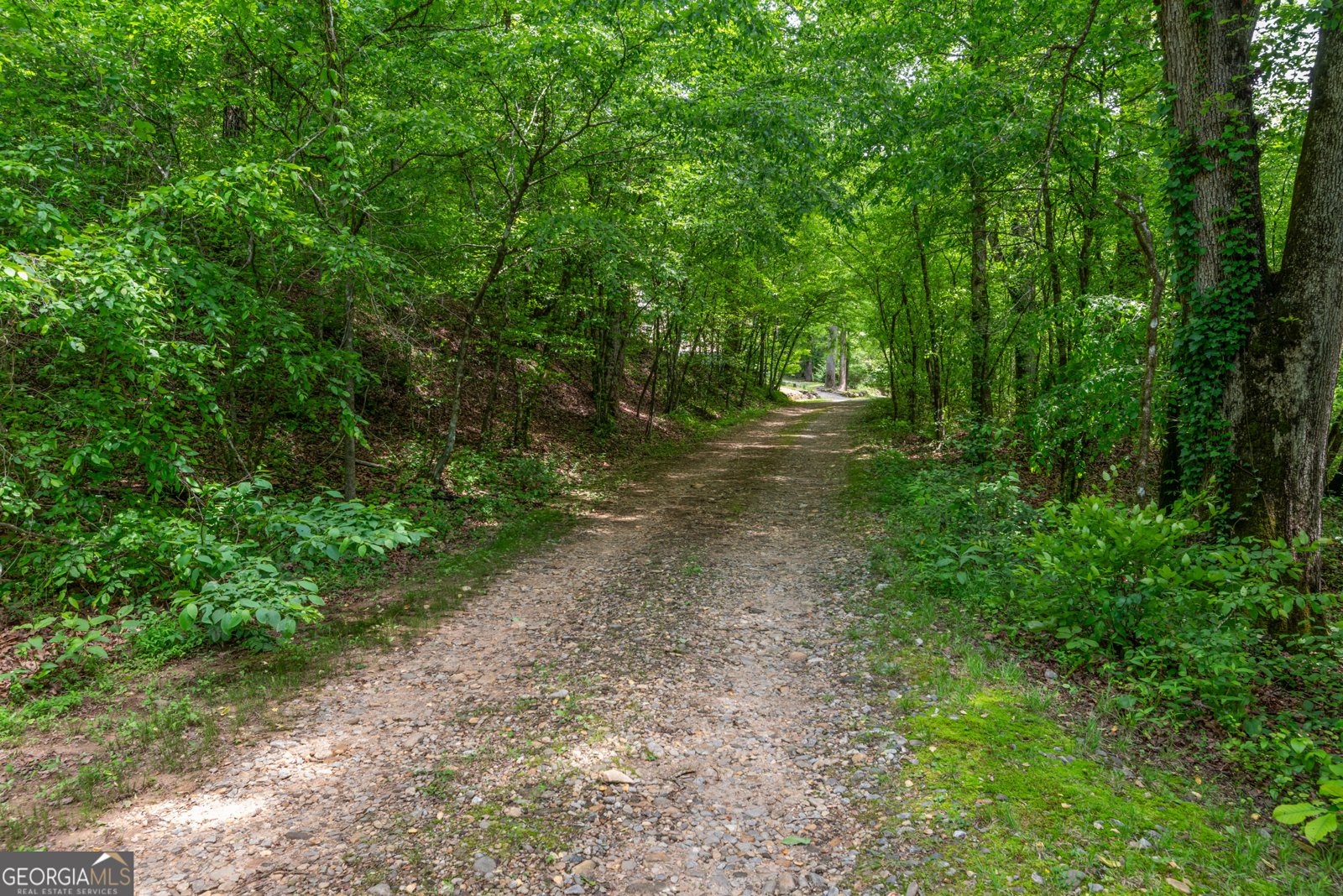 3035 Highway 17 Sautee Nacoochee - 50
