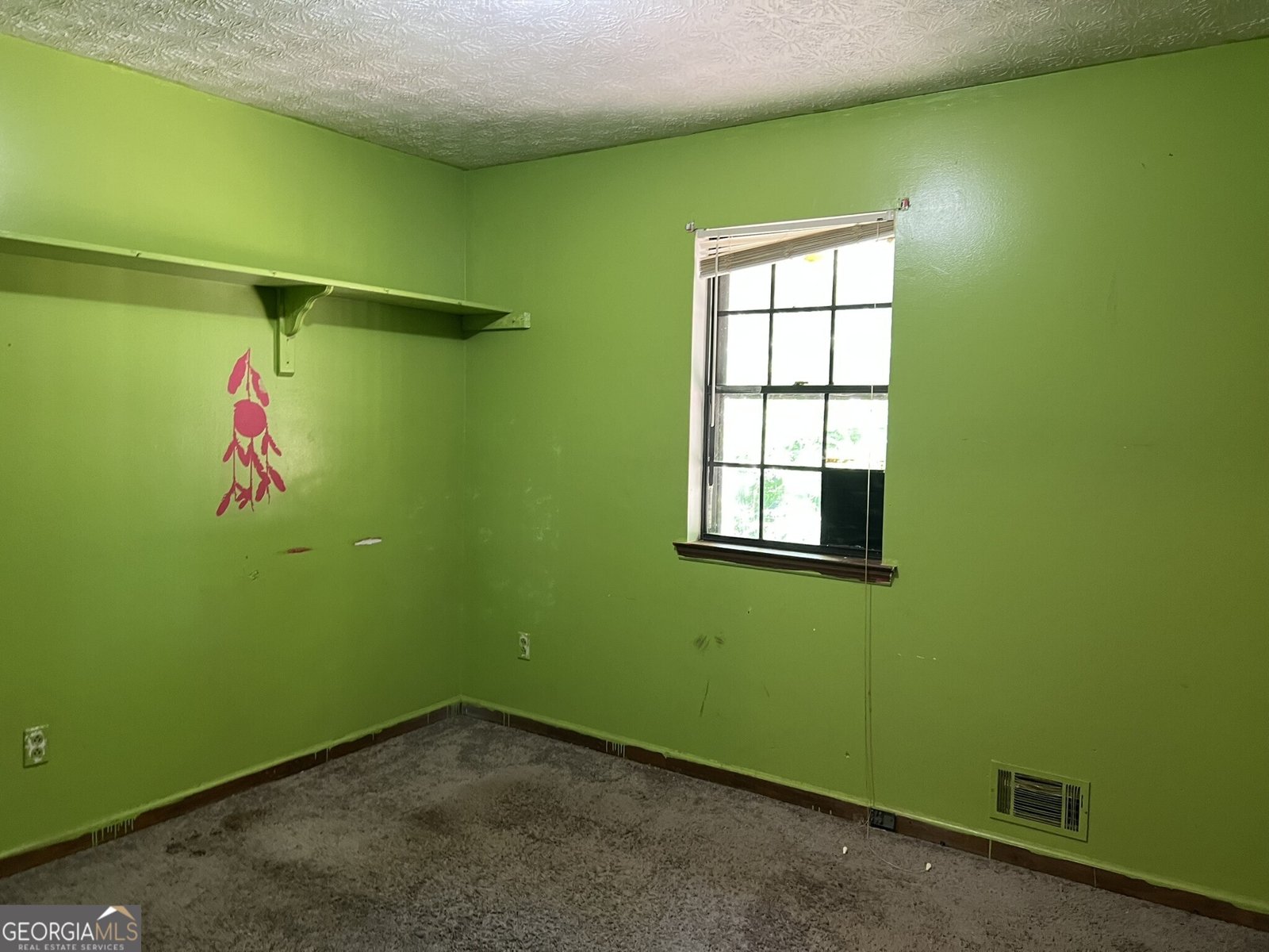 816 Cedar Lake Drive Conyers - 10