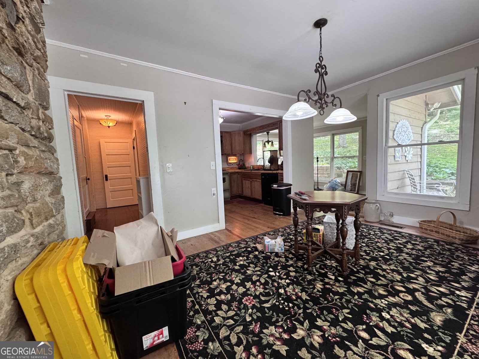 3835 Highway 441 Rabun Gap - 25
