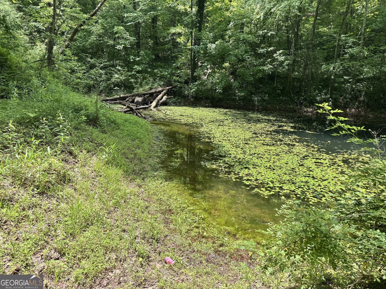 3835 Highway 441 Rabun Gap - 41