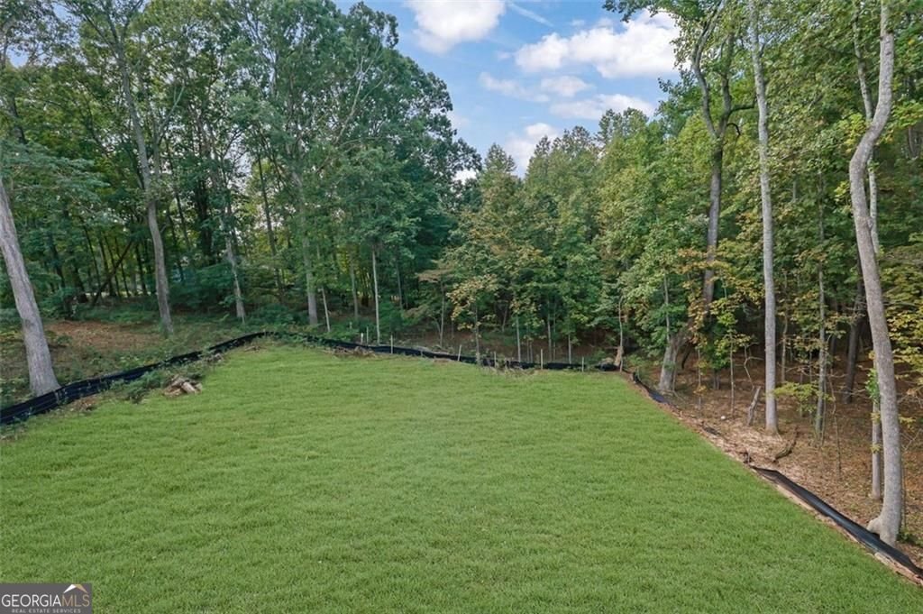 553 Somersby Drive Dallas - 38