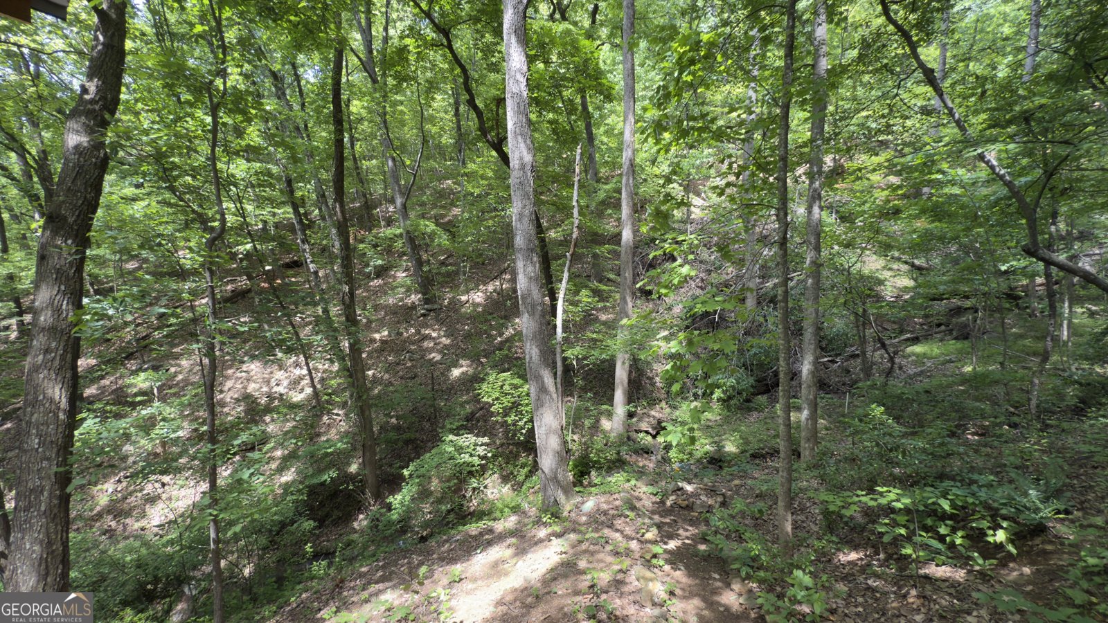 87 Garden Lane Cleveland - 25